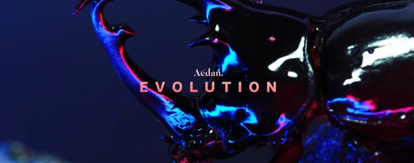 Evolution - Aedan 8K