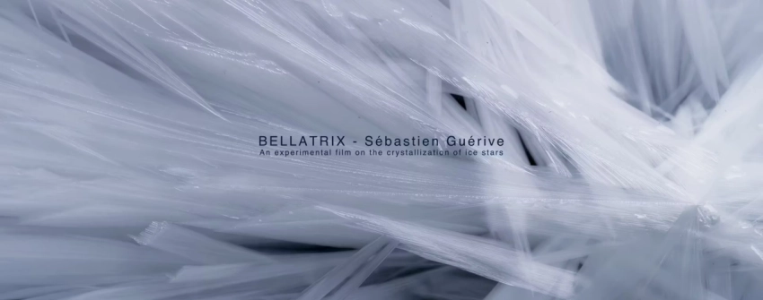 BELLATRIX - Sébastien Guérive